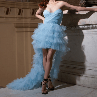 Cinderella's Dream Mini Tulle Dress - La Luz Boutique